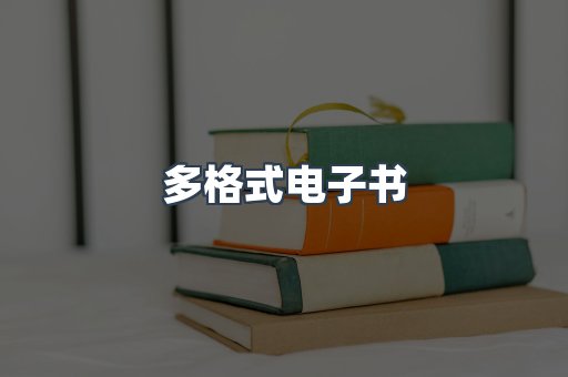 多格式电子书
